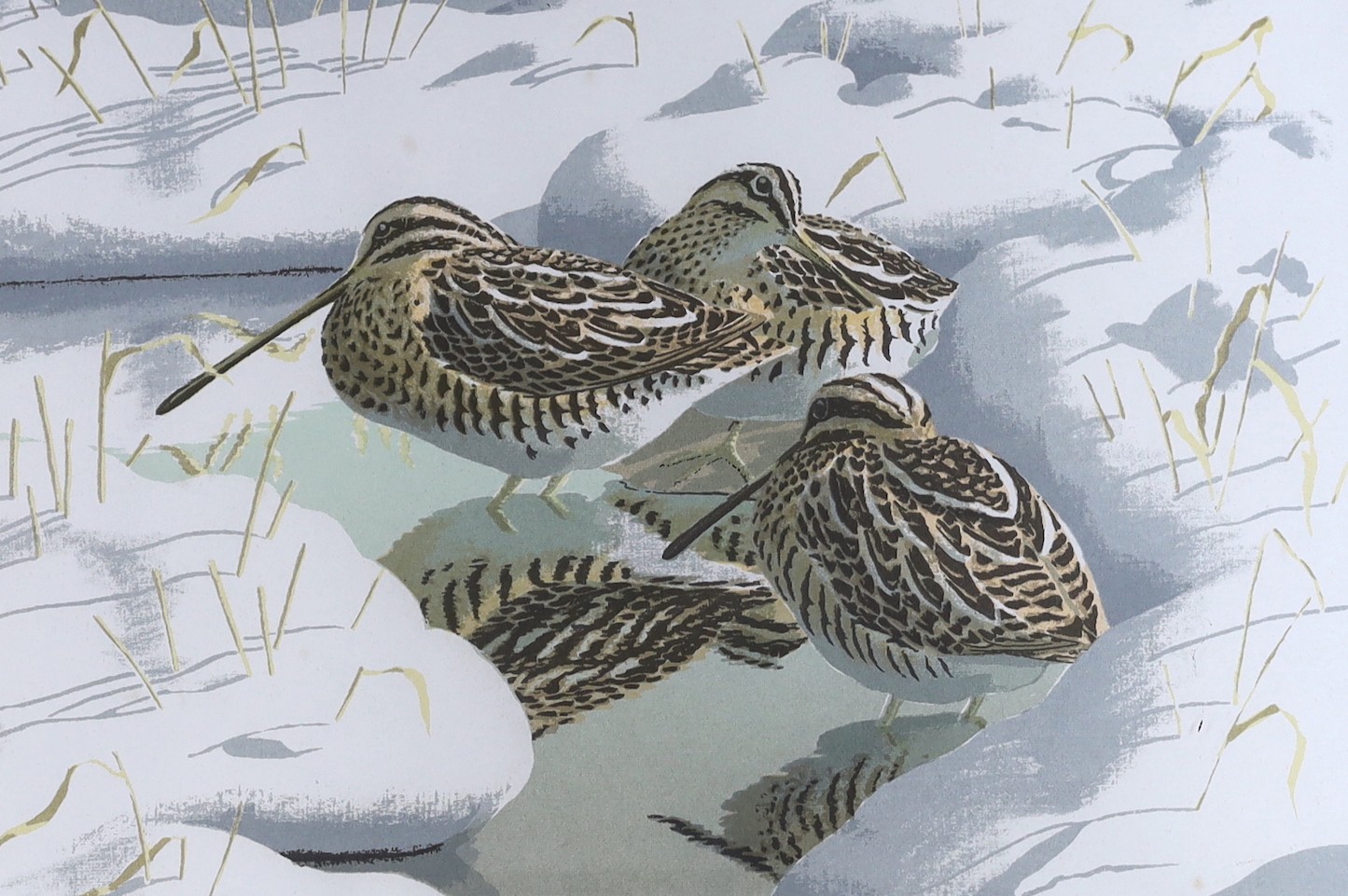 John Tennent (1926-), screenprint, 'Common Snipe', signed and dated 1986, 20/75, 31 x 43cm